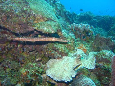M0011347.JPG