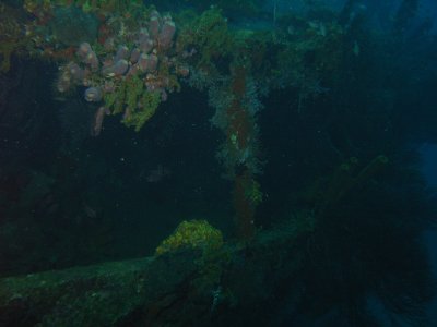 M0011374.JPG