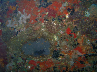 M0011377.JPG