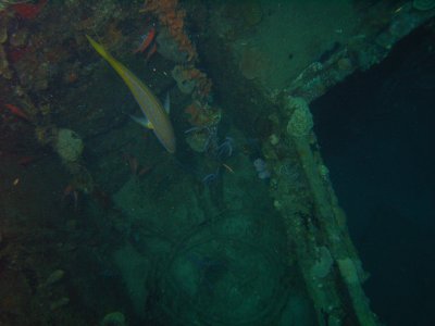 M0011381.JPG