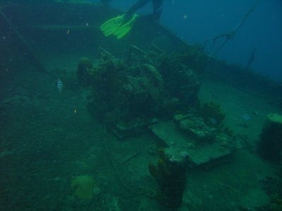 M0011382.JPG
