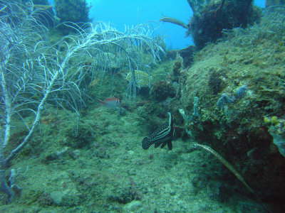 M0011388.JPG