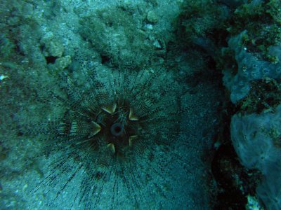 M0011391.JPG