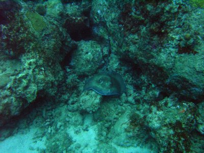 M0011396.JPG