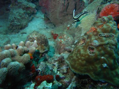 M0011402.JPG