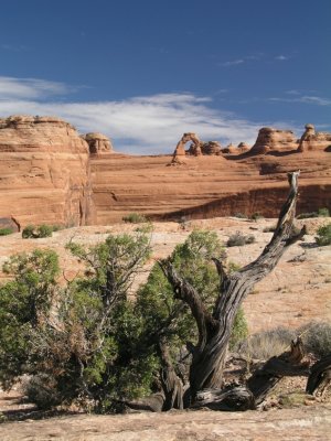 P8191724.JPG