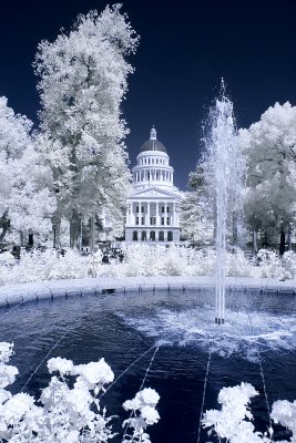_MG_6168.jpg