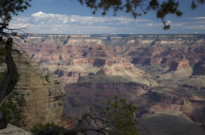 IMG_1873.jpg