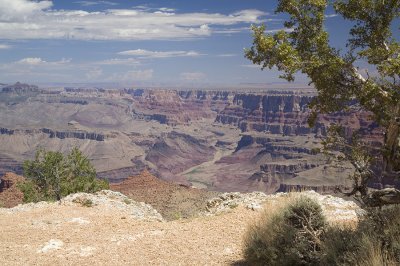 IMG_1896.jpg