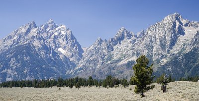 IMG_0386.jpg