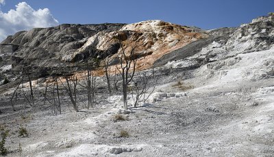 IMG_0485.jpg