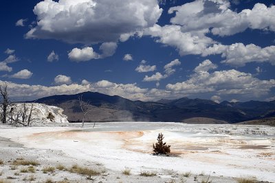 IMG_0501.jpg