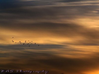 Sunrise