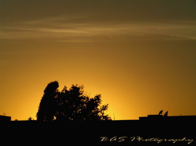 Over the roof sunset
