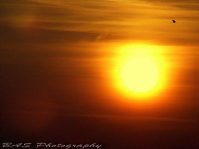 Good morning sunshine! :D