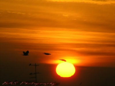Sunrise