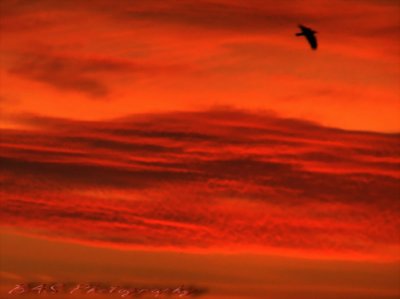 Vulcano sunrise
