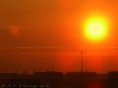 Good morning Sunshine!