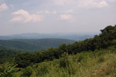 110.jpg