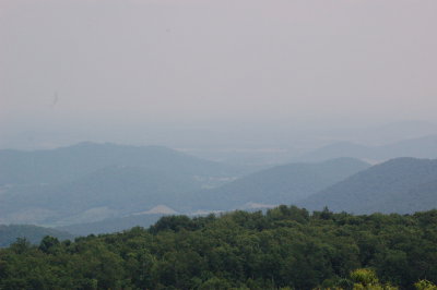 113.jpg