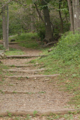 115.jpg  Part of the Appalachian Trail (white tree markings)