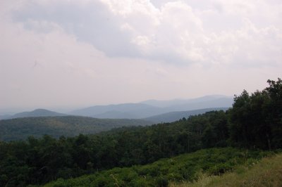 121.jpg