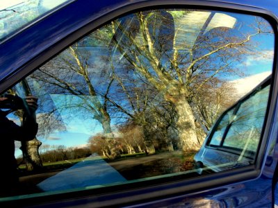 reflections on my little blue car.