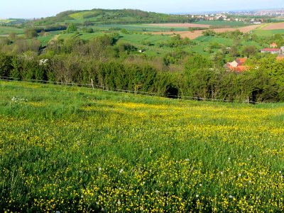 le printemps en Alsace.