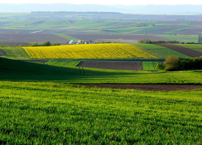 Alsace - fields