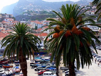 Camra  Lobos harbour