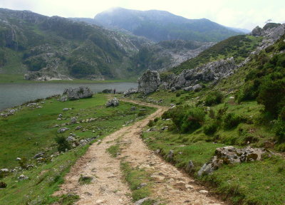 Picos de Europa