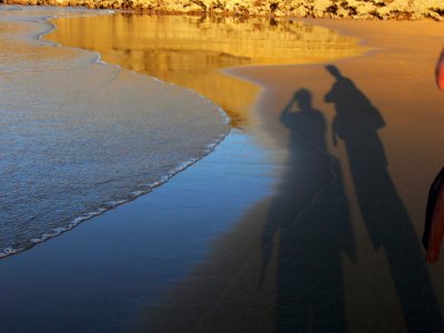 shadows on the beach.