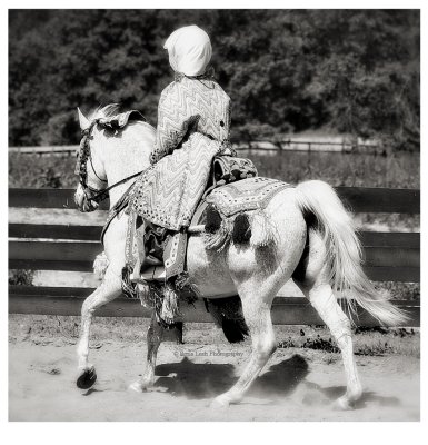 illini_arabian_horse_show___rocky_branch