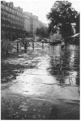 boulevard St Germain