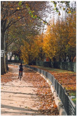 Autumn in Paris - Quais de Seine