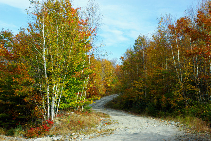  Maine Charm