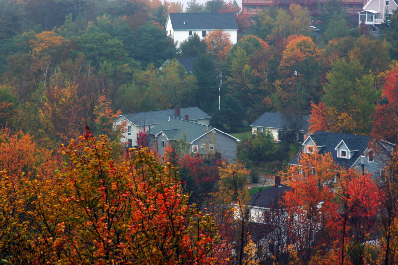  Maine Charm