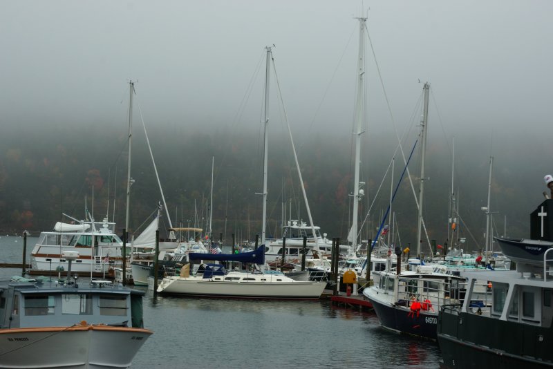  Maine Charm