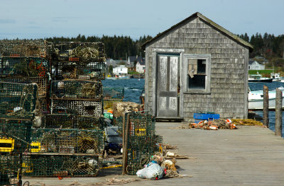 Maine Charm