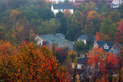  Maine Charm