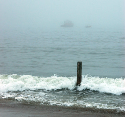 Sea Smoke.