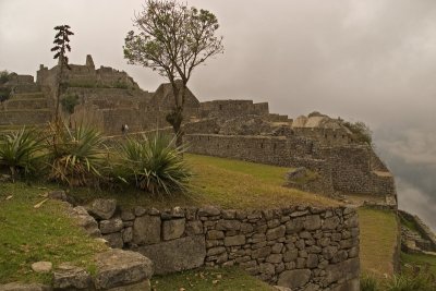 CRW_2033.jpg