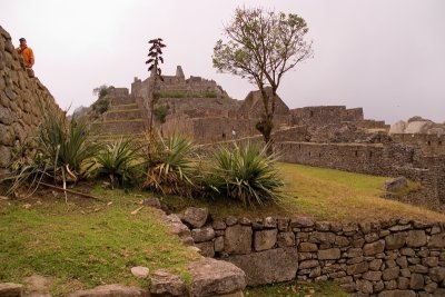 CRW_2034.jpg