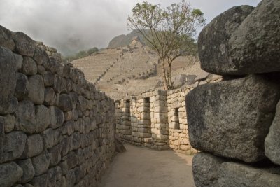CRW_2111.jpg