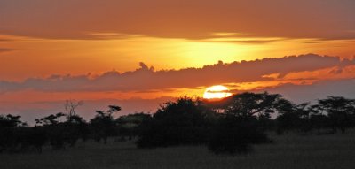 Sunrise, Serengeti