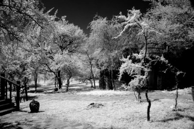 Infra-red image in vicinity of Lodge