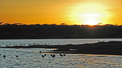 Sunrise, Ndutu, Serengeti Plains
