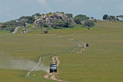 Vans on the move, Serengeti Plains