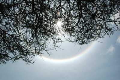 Unusual circle around sun