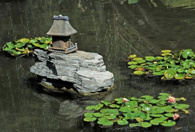 Japanese rock and water lillies.